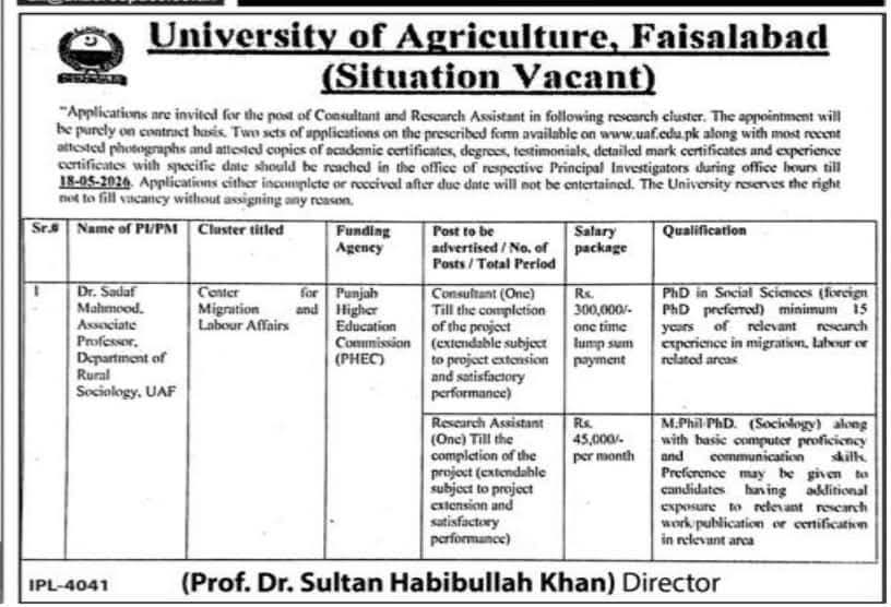 uaf-jobs-2026-consultant-research-assistant.jpg